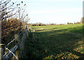 2010 : Field bordering the A360 approaching West Lavington