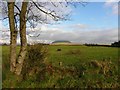 Ballynultoy Townland