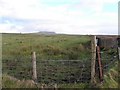 Ballygelly Townland