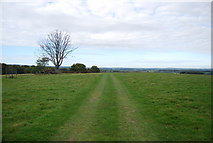 TQ5833 : Sussex Border path , Eridge Park by N Chadwick