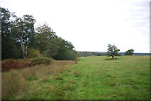 TQ5733 : Sussex Border Path along Rocks Wood, Eridge Park by N Chadwick