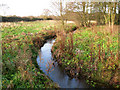 Stream near Broad Woods Lane