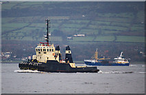 J3778 : Tug 'Willowgarth' at Belfast by Rossographer