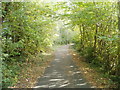 Cycle route along former railway route