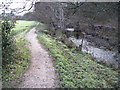 Footpath beside Lady Brook