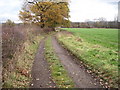 Footpath on Lower Park Road towards Poynton