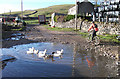 Bordley Green Farm