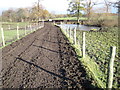 Footpath near Towers Farm