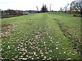 Footpath towards Towers Road