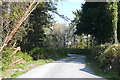 R2573 : Driveway south of Kilmaley by Graham Horn
