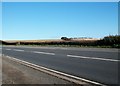 Croplands on a ridge between the A2 and the Dundrum Inner Bay