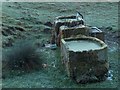 Sheep troughs near Calver