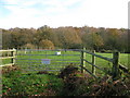 Paddock to the SE of Newtown Road