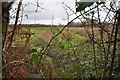 A stream which runs parallel to the river Caen on Frog Moor