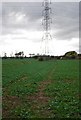 Pylon in a field of legumes