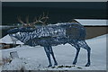 The stag which fronts the Moray Golf Club in Lossiemouth