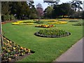 Spring Flowers - Bury St Edmunds