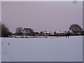 Horses in snow covered field