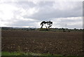 Ploughed field by Stickfast Lane