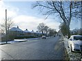 Looking up Harrogate Road