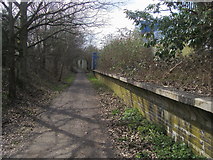 TL1907 : Smallford Trail part of Alban Way by Shaun Ferguson