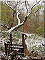 Footpath and stile near the Llanfoist Inclines