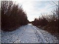 The Trans Pennine Trail near Hill Side