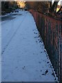 Looking along Cathkin Road