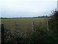 Field adjacent to Cemetery Lane