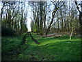 Track on the course of the dismantled railway at Fauldmoor Crossing