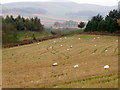 Stubble field near Newton