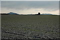 View to the Abberley Hills