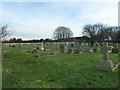 Late November in Westbourne Cemetery (o)