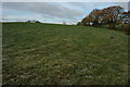 Field above Dumbleton Dingle