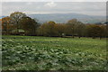 View to Clee Hill