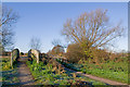 Footbridges over White Brook