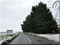 Entering Halesworth on the B1117