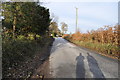 East Devon : Country Road