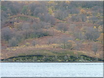 NN4409 : Southern shore of Loch Katrine by James Allan