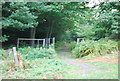 Footpath off Chestnut Walk, Knole Park