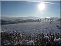 Snowscene from a lane above Builth Wells