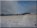 November snow field