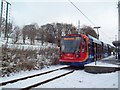 Herdings Park Tram Terminus