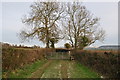 SY1098 : East Devon : Farm Track & Gate by Lewis Clarke