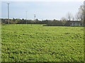 Grazing land near Wadborough