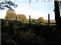 View from Chapel Lane towards Carter