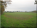 Arable land near Nailstone Wiggs