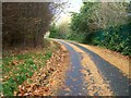 The Burren Walk at Castlewellan Forest Park