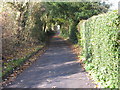 View along Chapel Lane