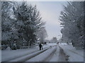 Ferry Road in the snow